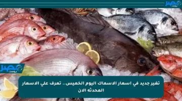 تغير جديد في أسعار الأسماك اليوم الخميس.. تعرف على الأسعار المحدثة الآن